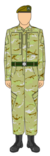 FLO Field Uniform and Kit.png