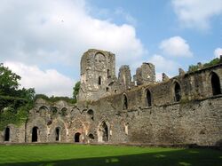 Ruins of Hasselt