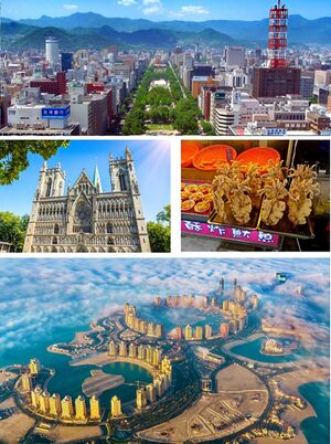 Miyaji city collage.jpg