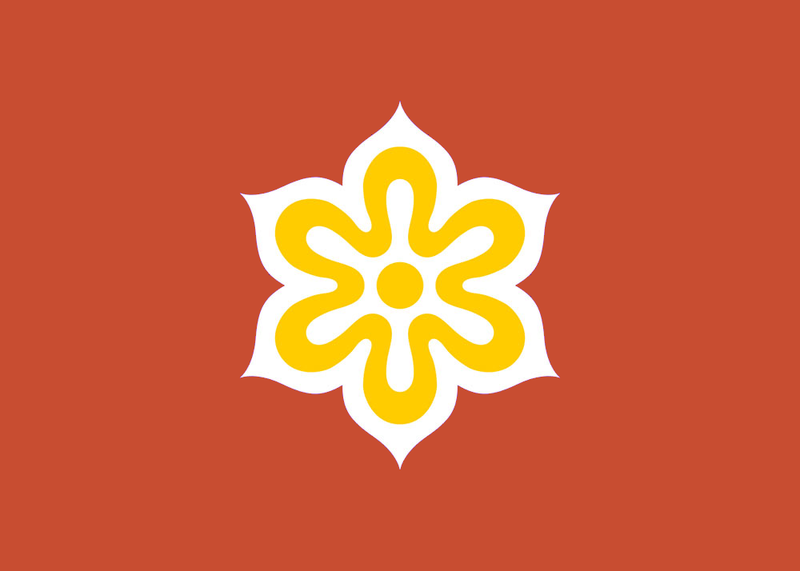 File:Zhijin flag.png