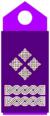OF-9 Air Force.png