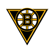 Birmingham Bruins logo.png