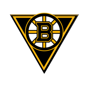 Birmingham Bruins logo.png