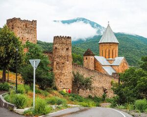 Tadăcara Citadel.jpg