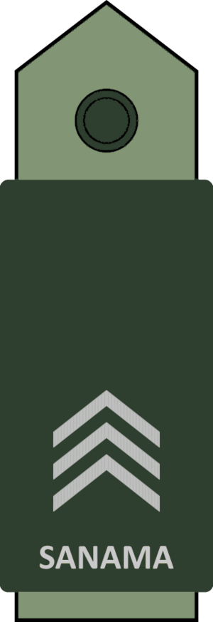 Sanaman Army E-7.png
