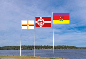 State visit flags.png