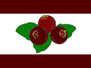 Dark Berry Islands flag.png