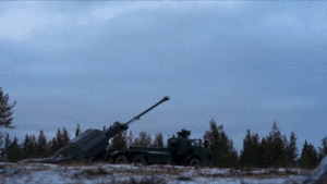 Meckelnburgh artillery fire.gif