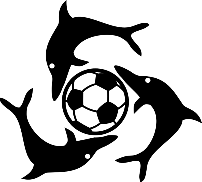 File:Port Balaine soccer emblem.png