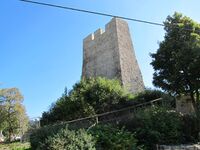 Castle ruin Dasburgh