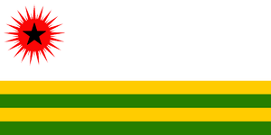 People's Navy flag.png