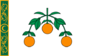Flag of the Lija Island